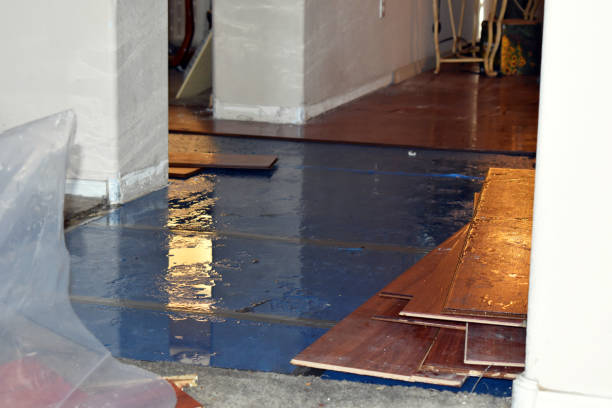Professional Water Damage Restoration technician working in Lafayette, CA